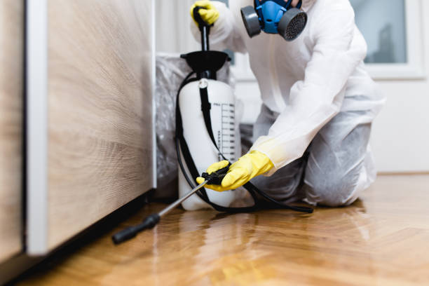 Best Pest Removal Services  in Mosinee, WI