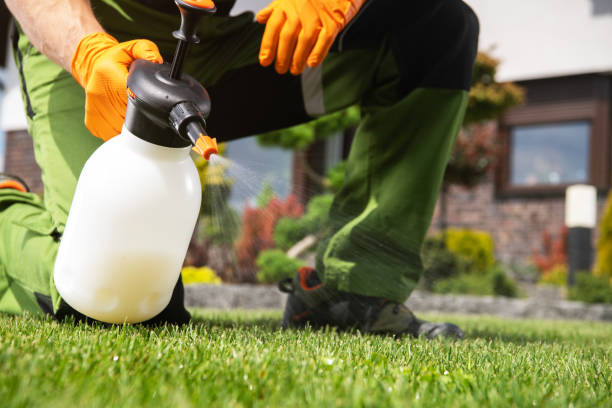 Best Residential Pest Control  in Mosinee, WI