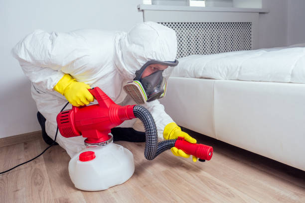 Best Wasp Removal Services  in Mosinee, WI