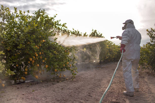Wildlife Control Services in Mosinee, WI