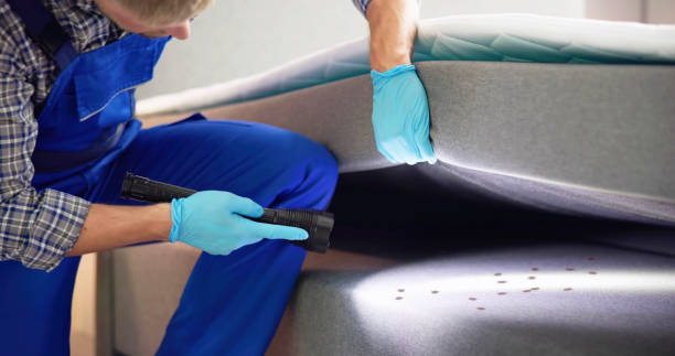 Best Emergency Pest Control  in Mosinee, WI