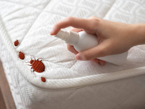 Best Flea Control Services  in Mosinee, WI