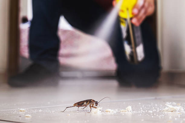 Best Pest Prevention Services  in Mosinee, WI