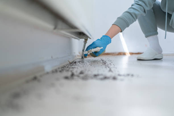 Best Affordable Pest Control Services  in Mosinee, WI